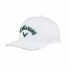 Callaway Performance Pro Hat 2 Callaway Performance Pro Hat -Shoes Sales Shop callaway performance pro hat white green 01 68640.1678906678