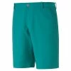 Puma Dealer Shorts - 8 Inch 1 Puma Dealer Shorts - 8 Inch -Shoes Sales Shop puma dealer shorts 8 inch green lagoon 01 45074.1678213419