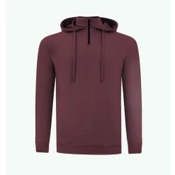 SWANNIES VanDyke Hoodie 8 SWANNIES VanDyke Hoodie -Shoes Sales Shop swannies vandyke hoodie maroon 01 80897.1679426278